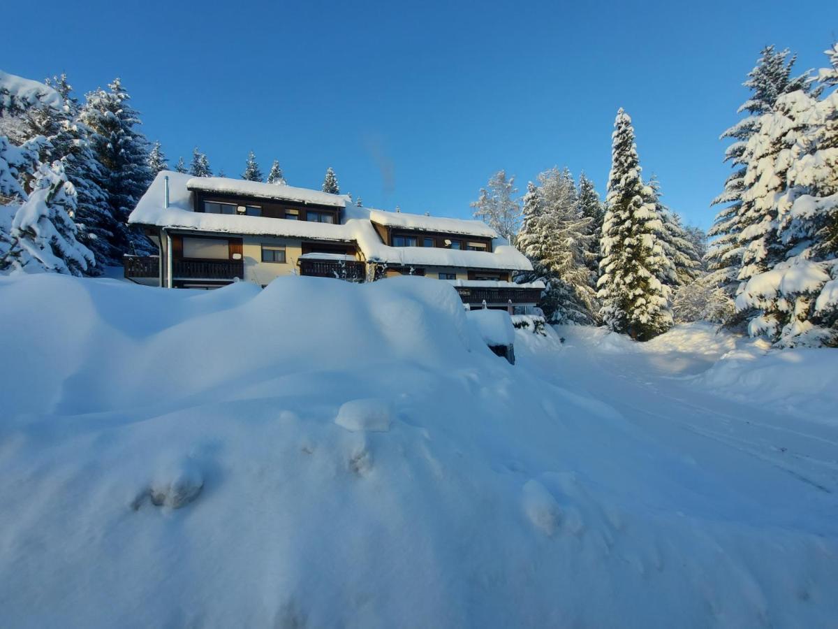 Apartament Haus Heidelberg Feldberg  Zewnętrze zdjęcie