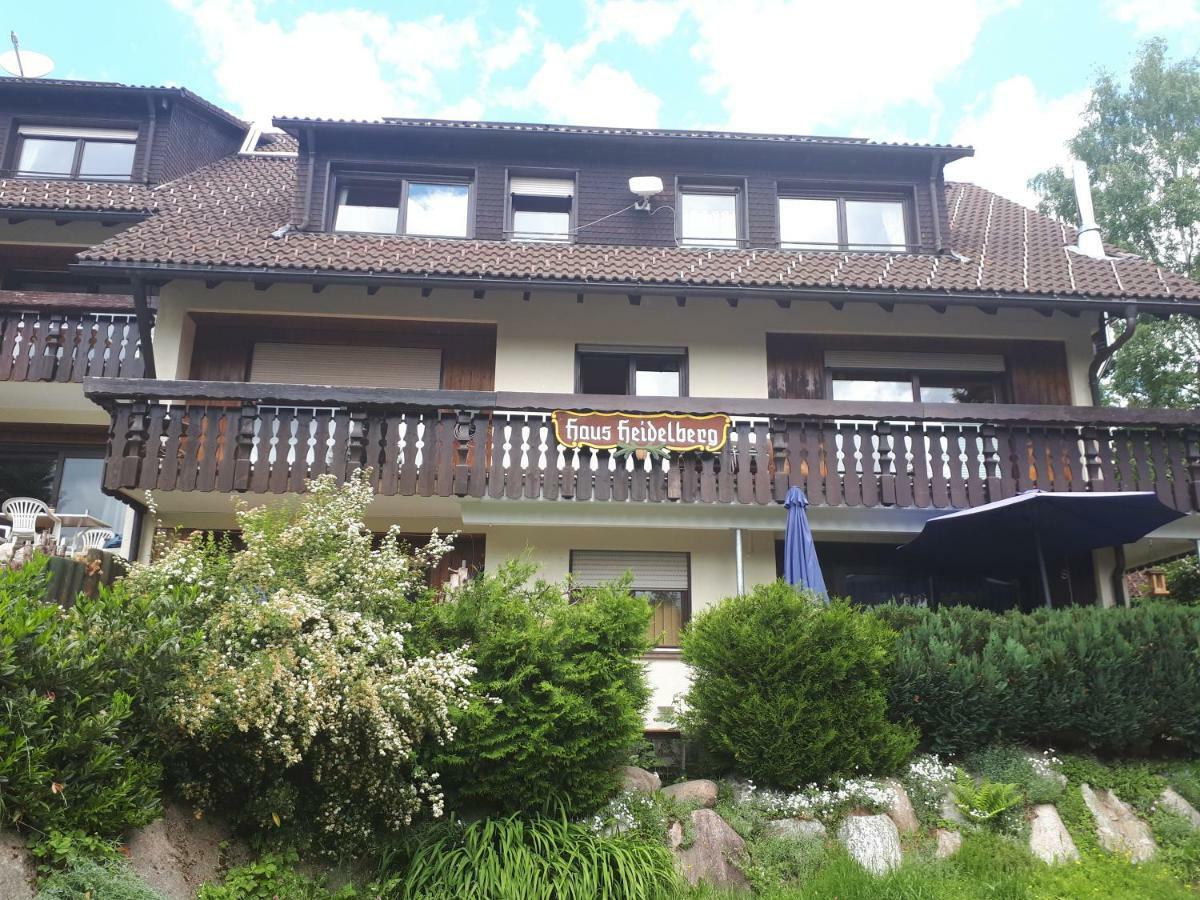Apartament Haus Heidelberg Feldberg  Zewnętrze zdjęcie