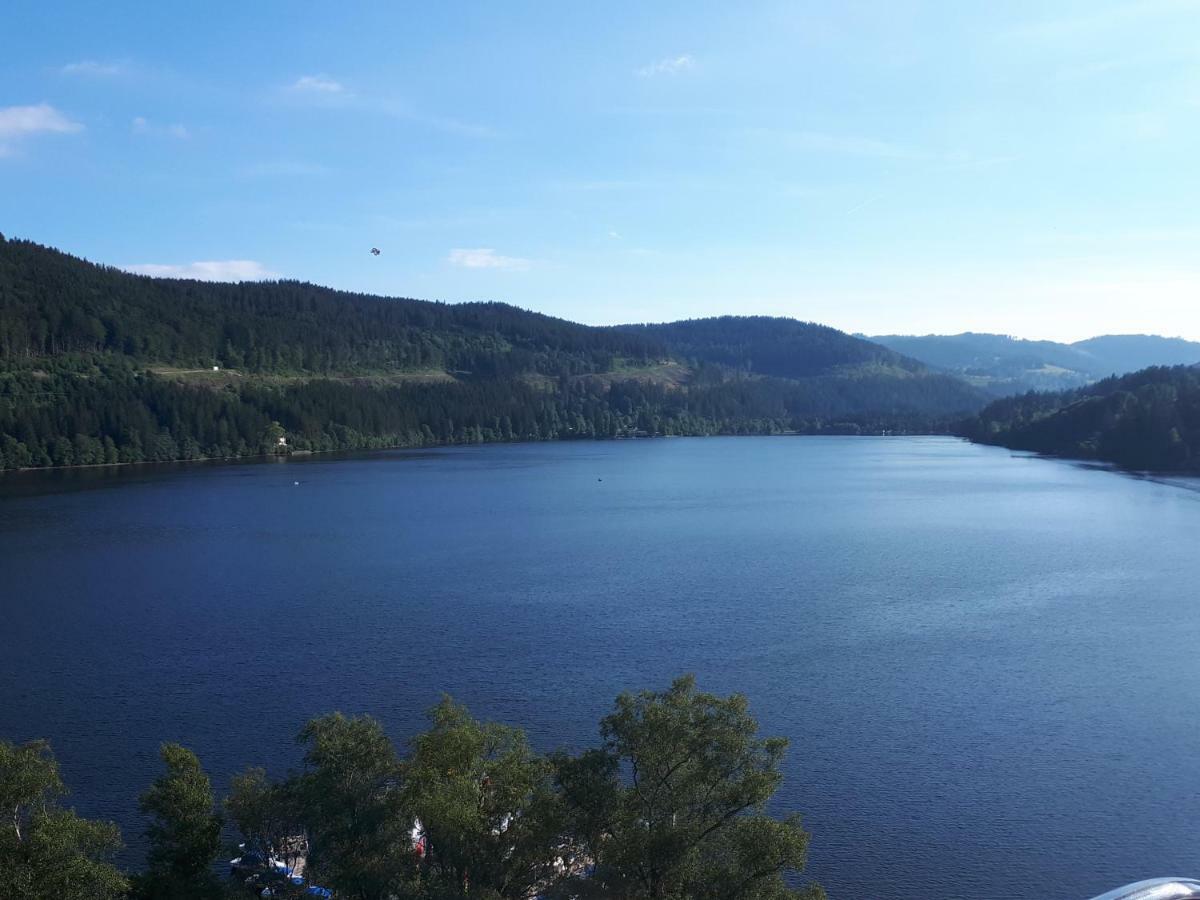 Apartament Haus Heidelberg Feldberg  Zewnętrze zdjęcie